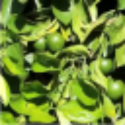 LR image